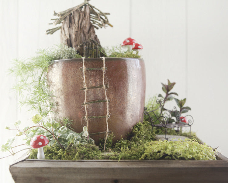 Fairy Garden Moss and Accessories Set