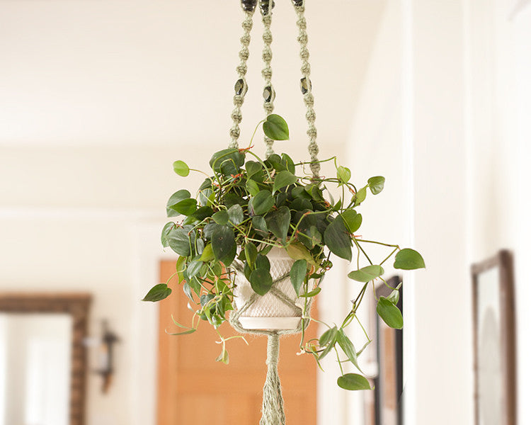Macrame Plant Hanger - Craft Tutorial with Easy Macrame Knots