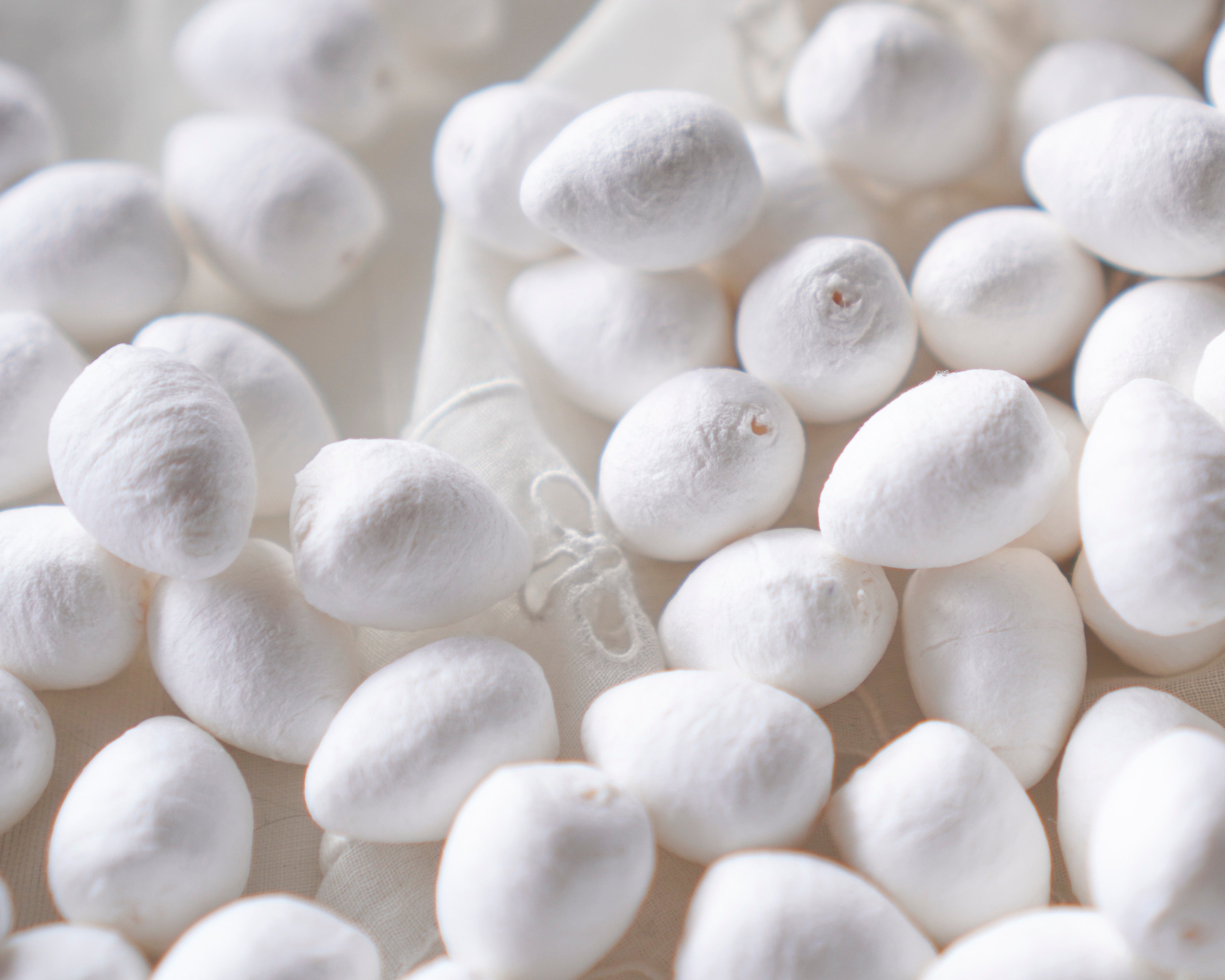 20mm Spun Cotton Eggs, 50 Pcs.