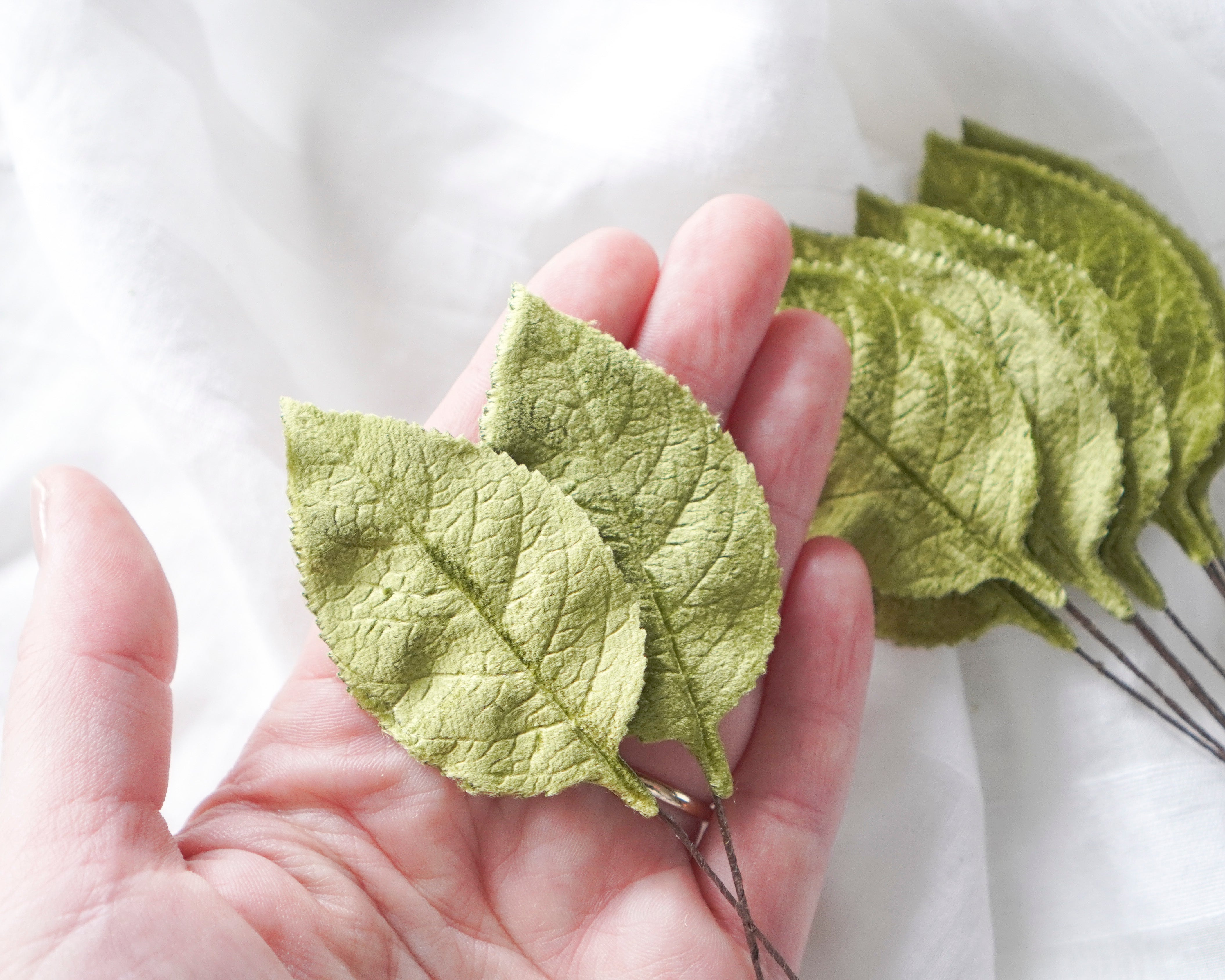 Chartreuse Green Velvet Leaves, Large 2 1/2 Inch, 10 Pcs.