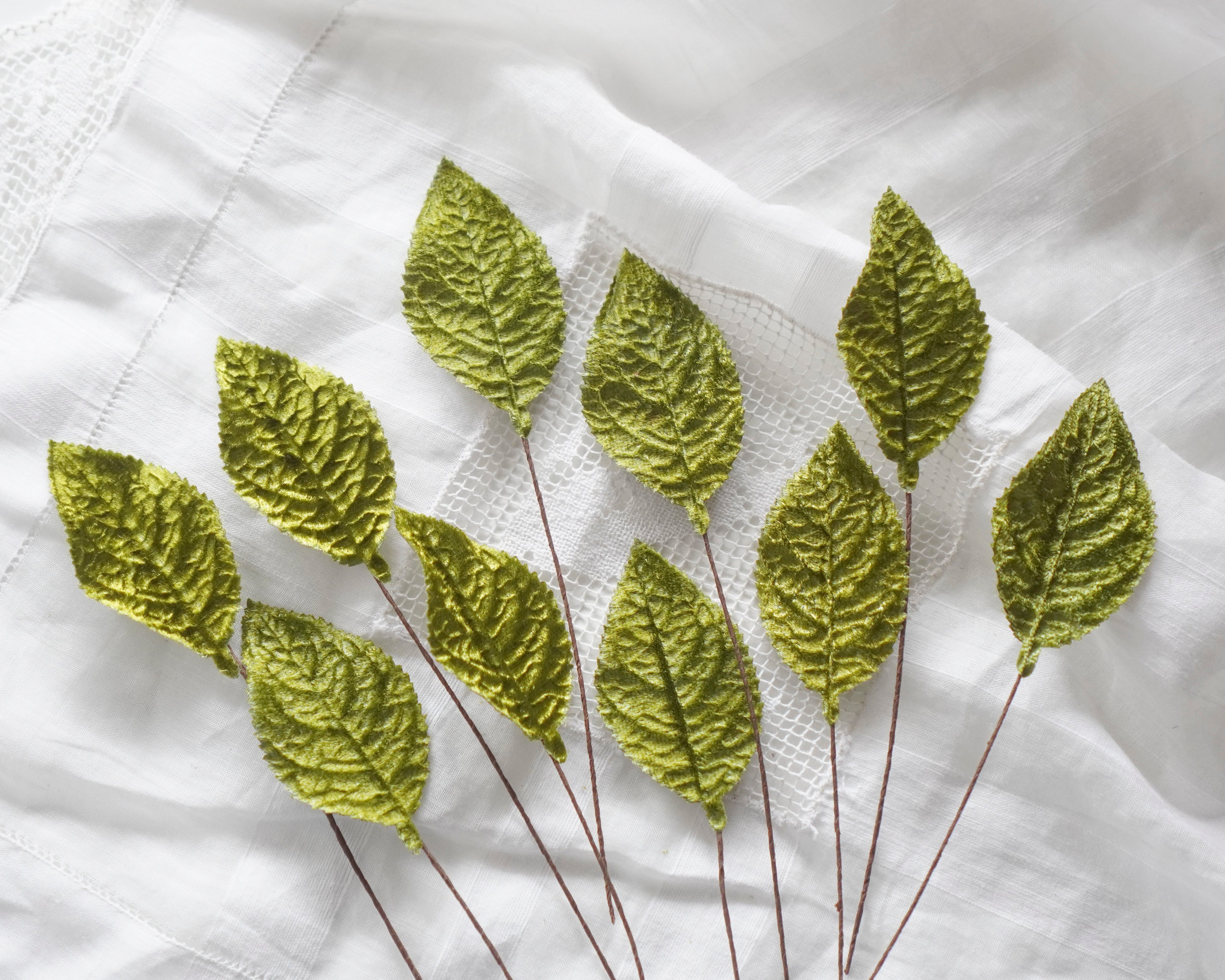 Set of green velvet leaves on a white textured background