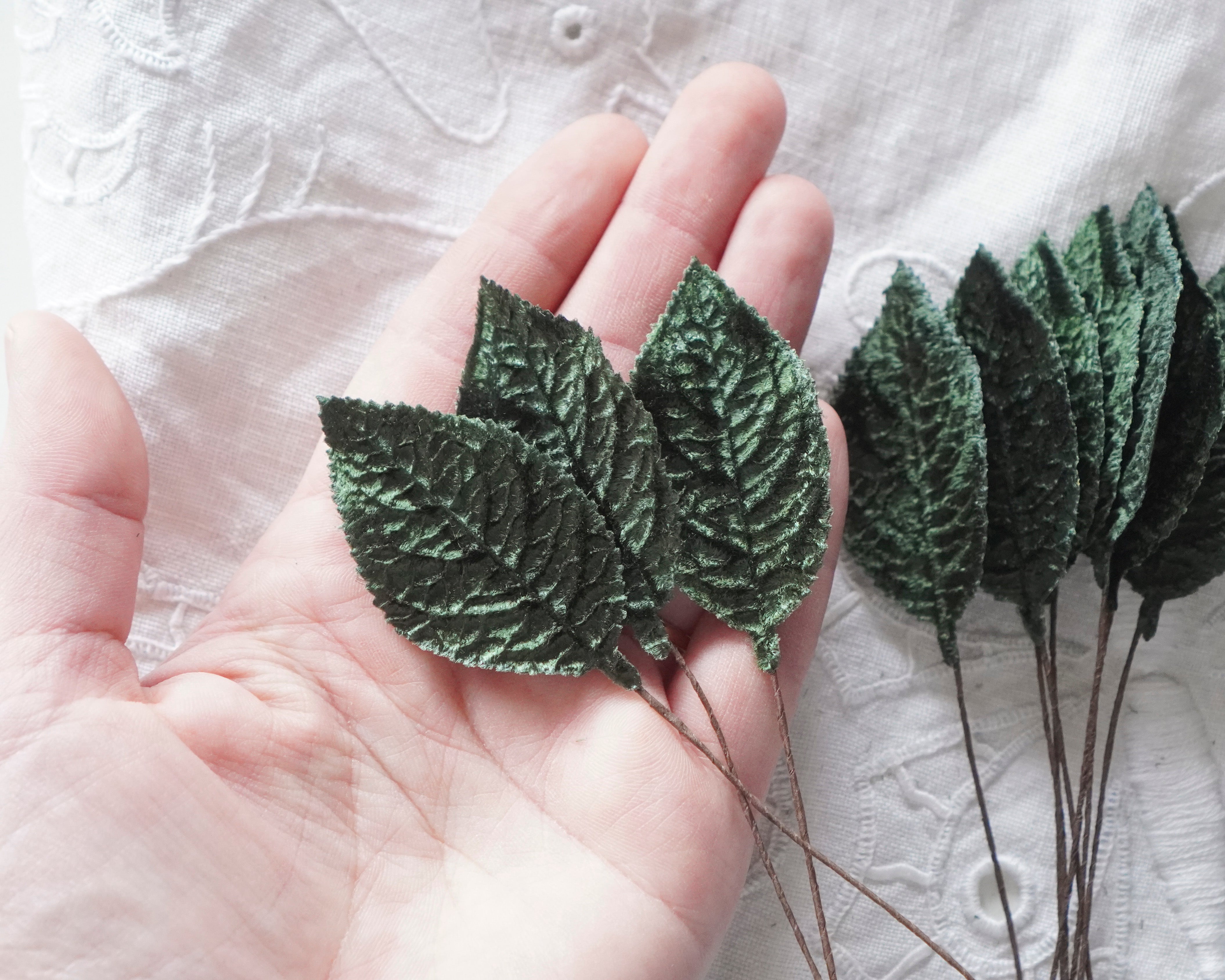 Green velvet leaves held in a hand against a textured white background