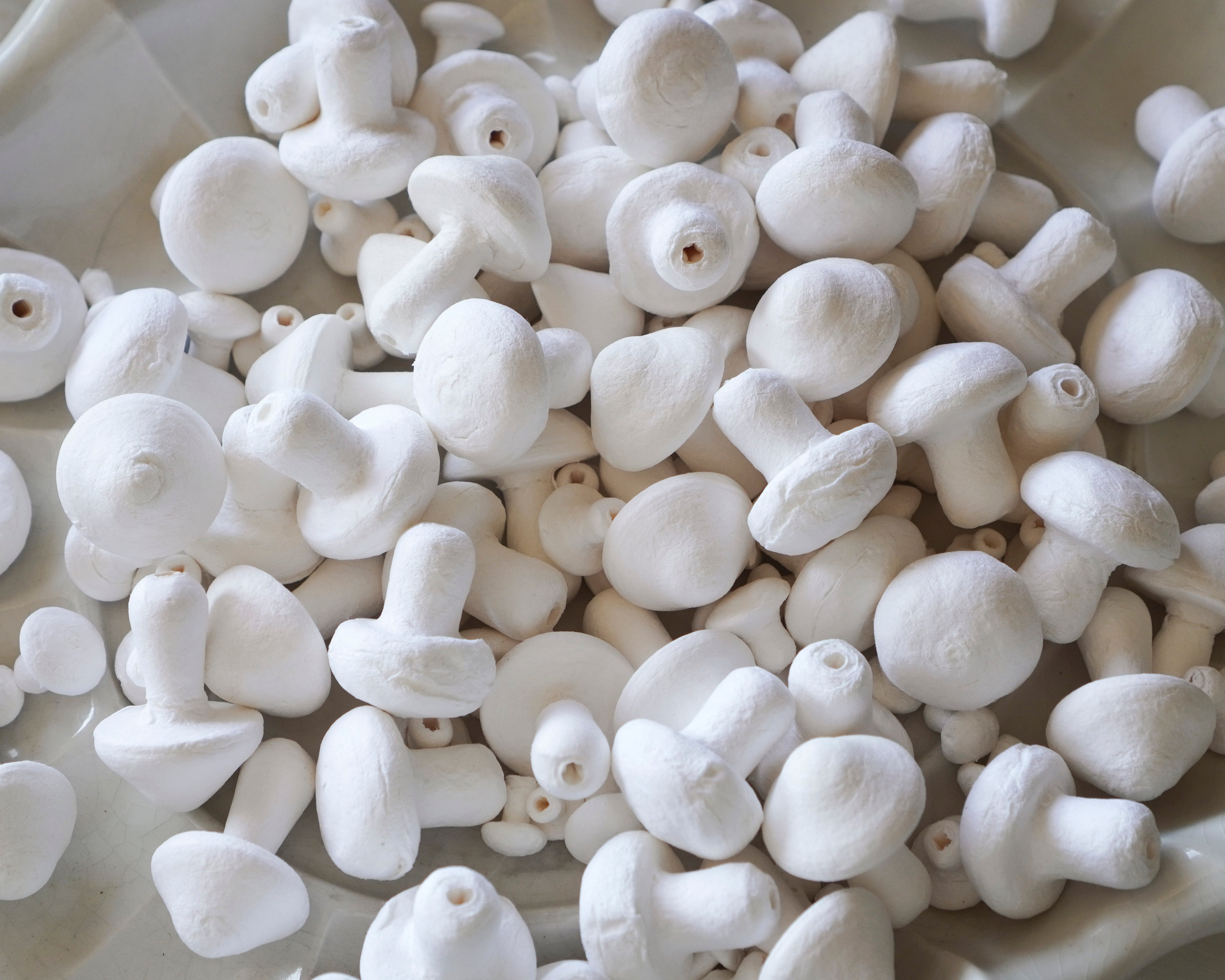 spun cotton mushrooms displayed.