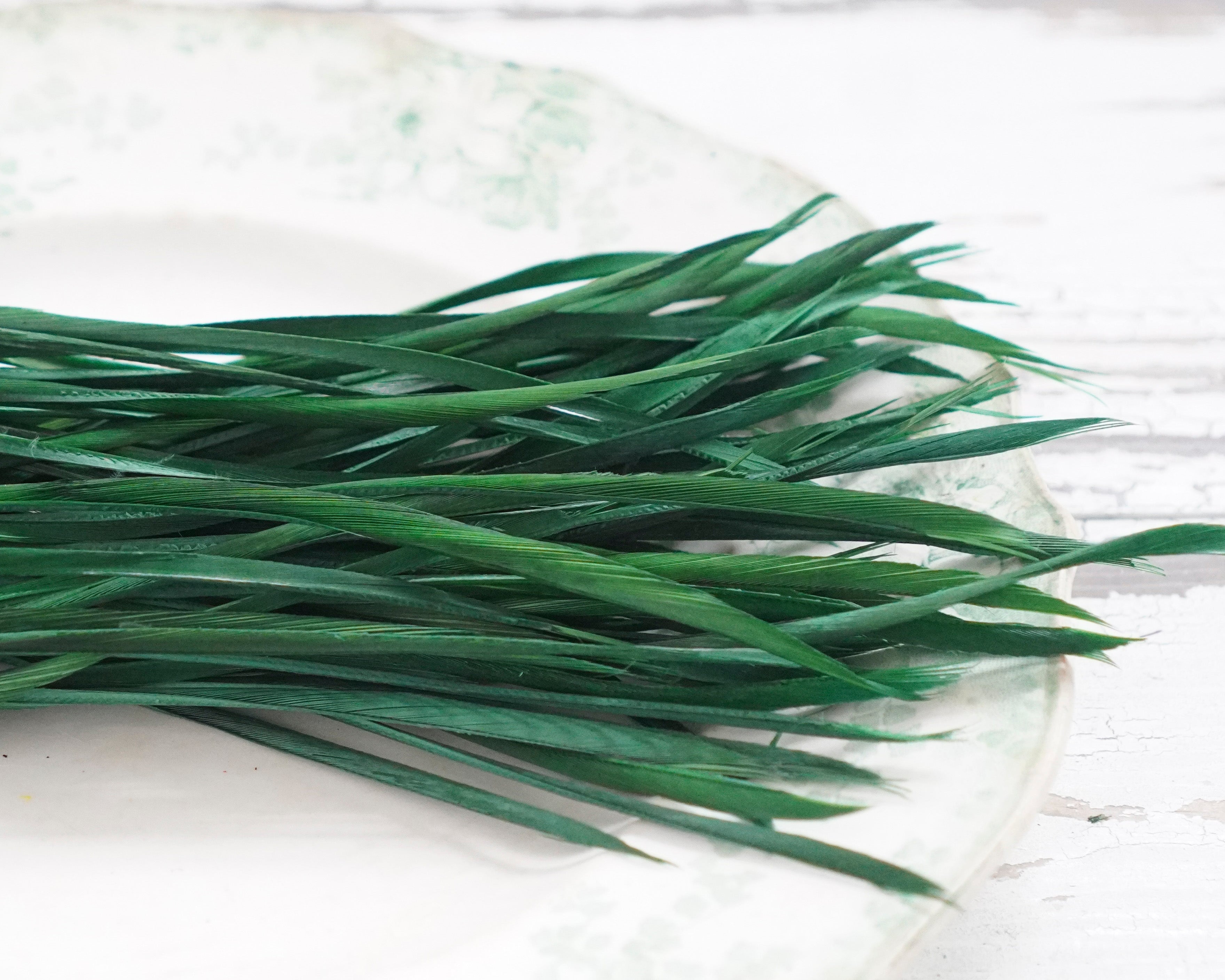 Goose Biots - Kelly Green Dyed Goose Feathers, 75 Pcs.