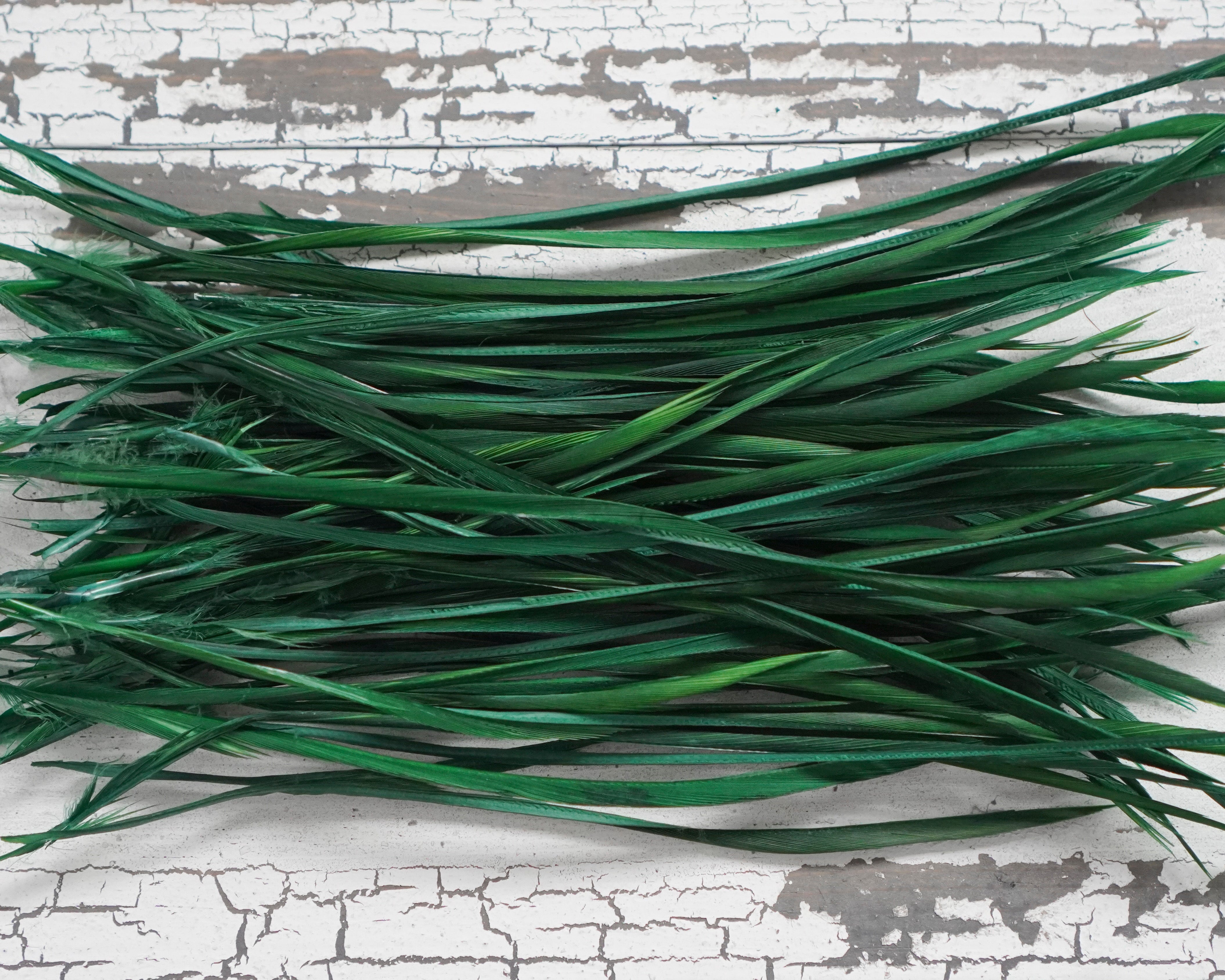 Goose Biots - Kelly Green Dyed Goose Feathers, 75 Pcs.