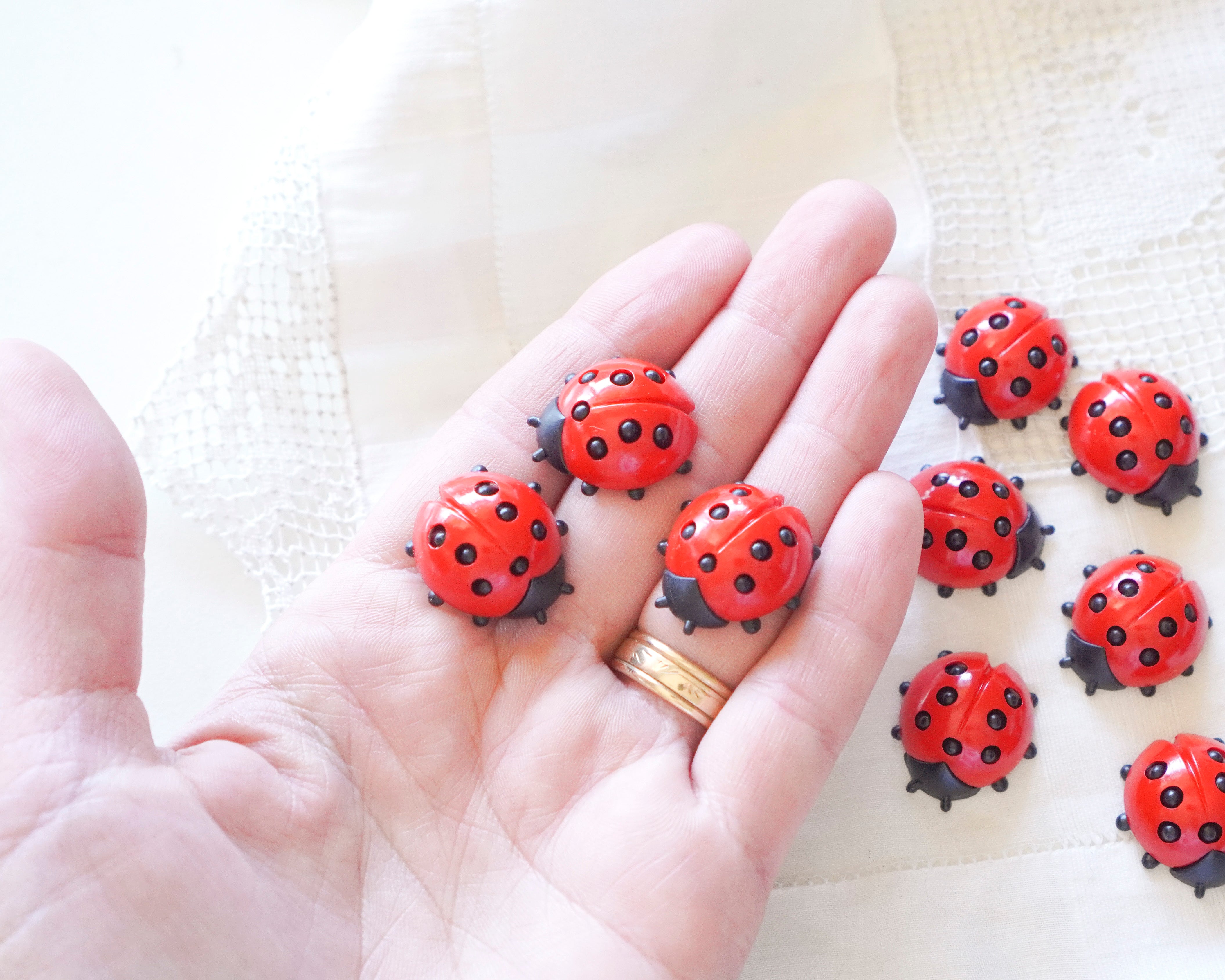 Medium German Plastic Ladybugs for Crafts, 12 Pcs.