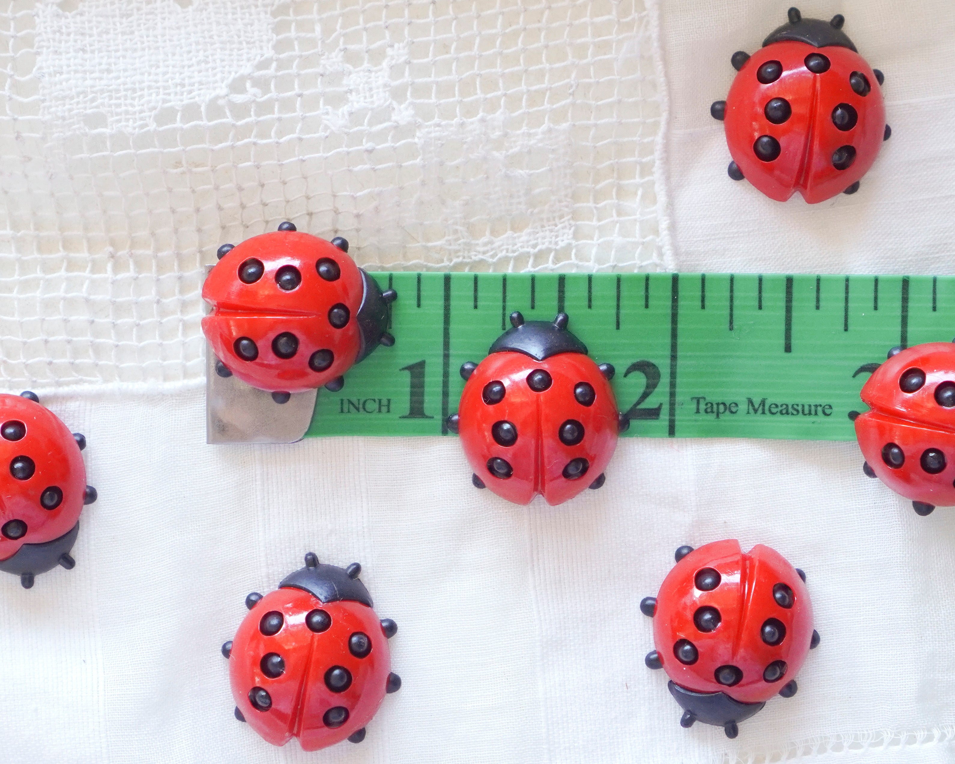 Medium German Plastic Ladybugs for Crafts, 12 Pcs.