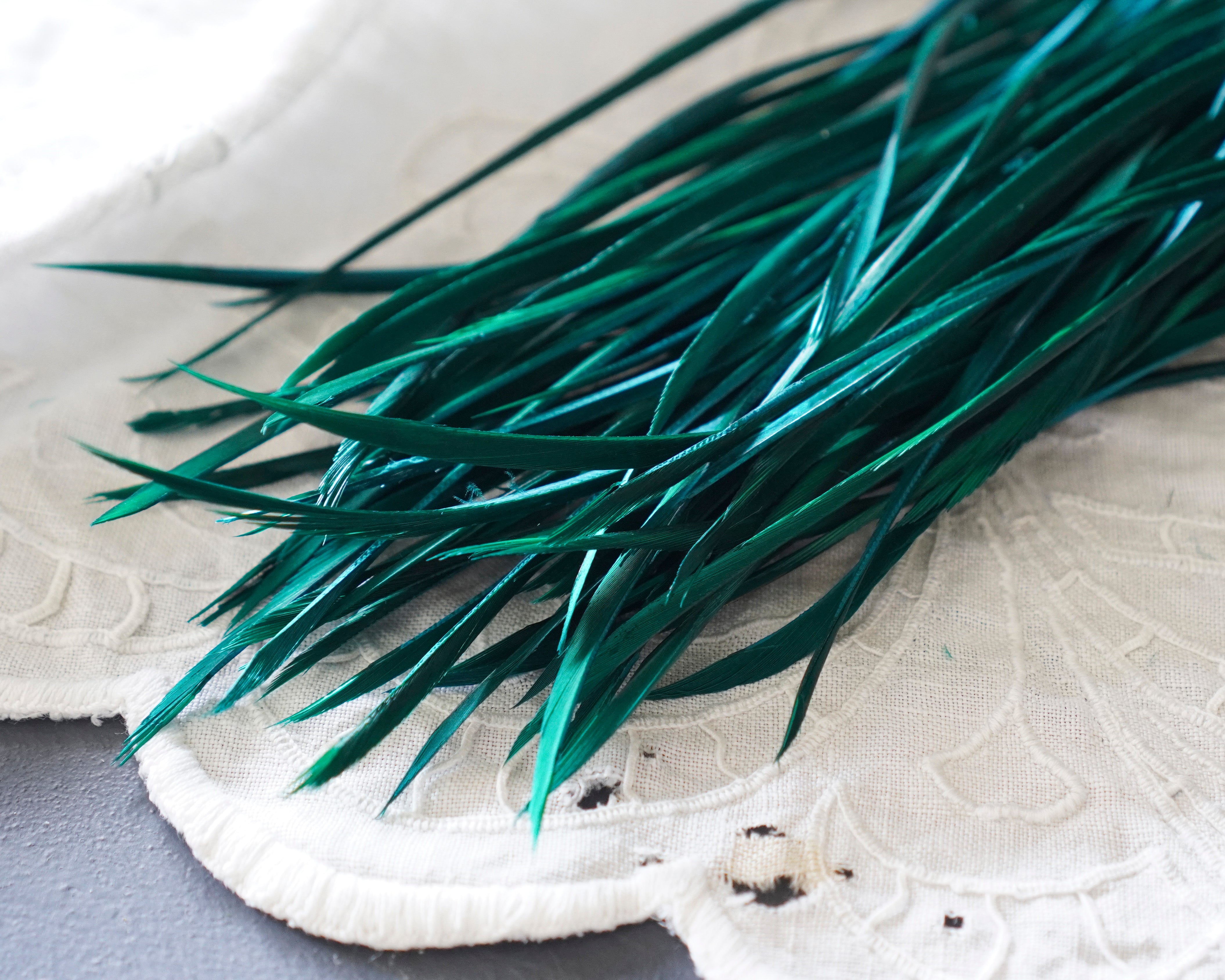 Goose Biots - Peacock Green Dyed Goose Feathers, 75 Pcs.