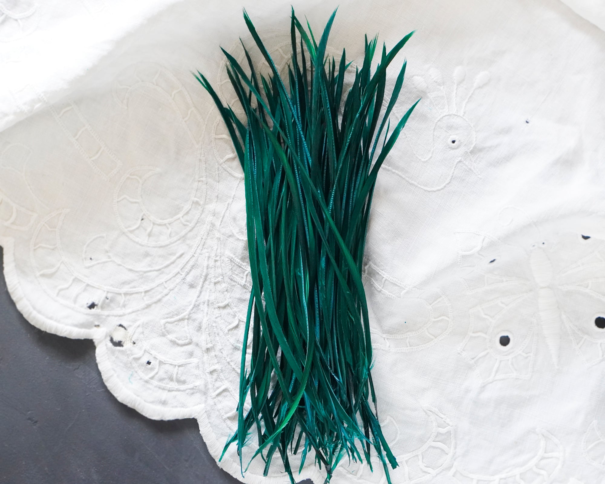 Goose Biots - Peacock Green Dyed Goose Feathers, 75 Pcs.
