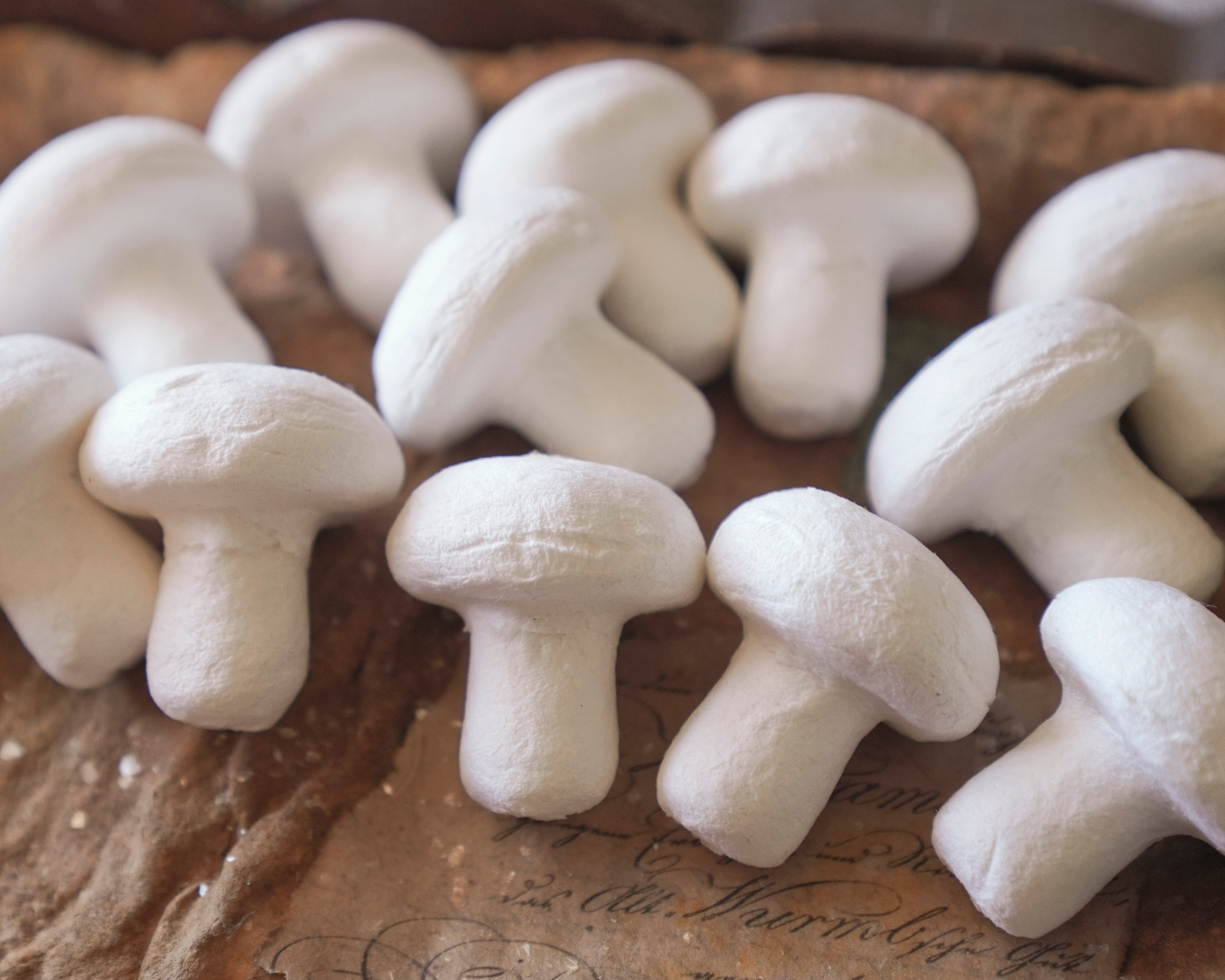 Rustic Field Toadstools: 30x32mm Unfinished Craft Mushrooms, 12 Pcs.