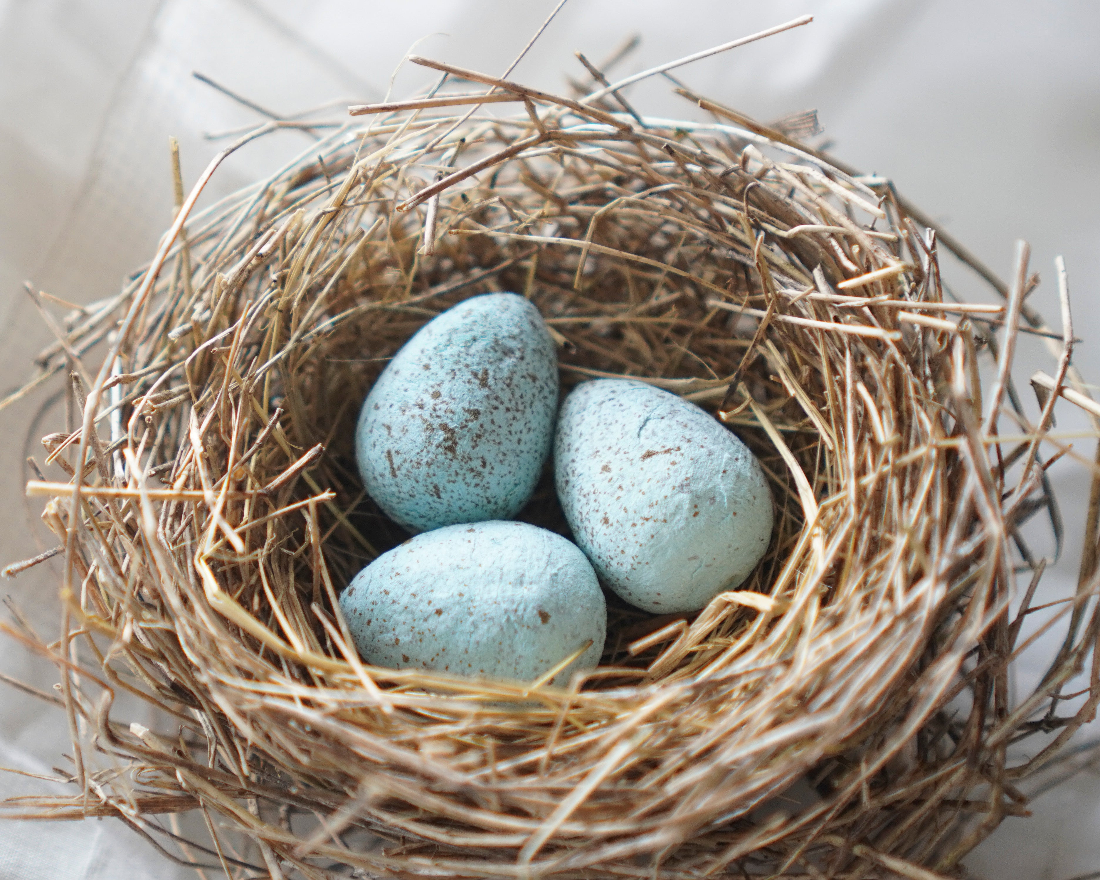 Blue Speckled Spun Cotton Craft Eggs, 10 Pcs.