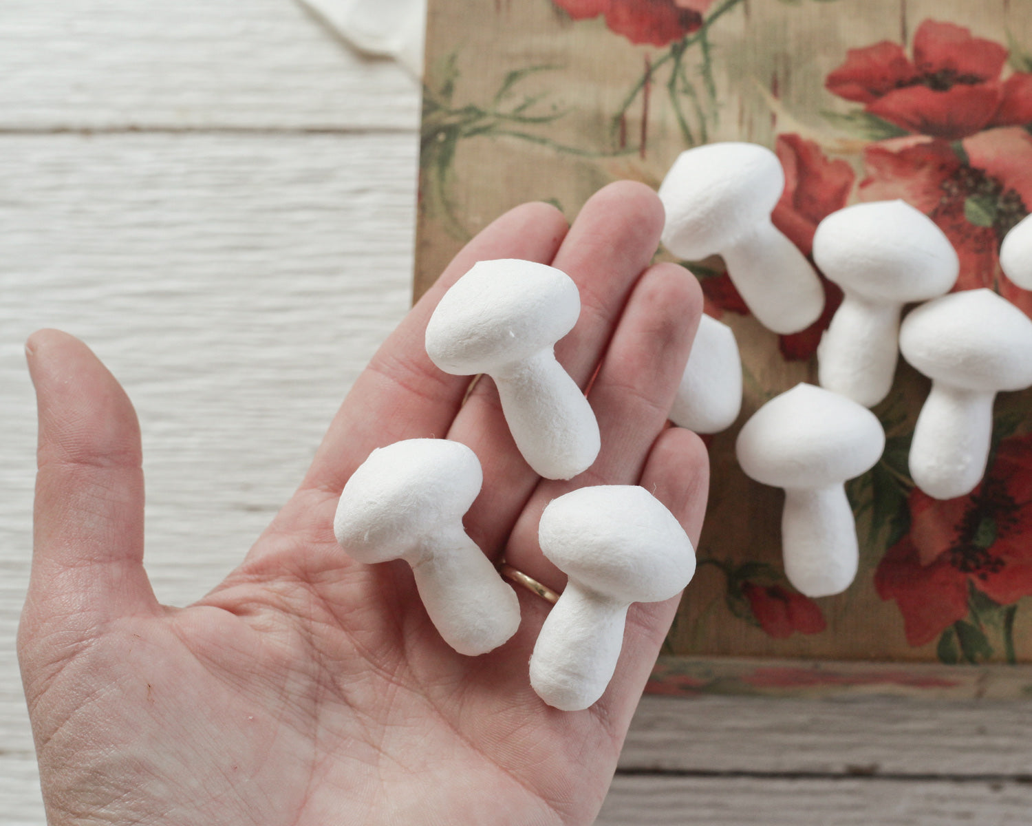 Christmas mushrooms