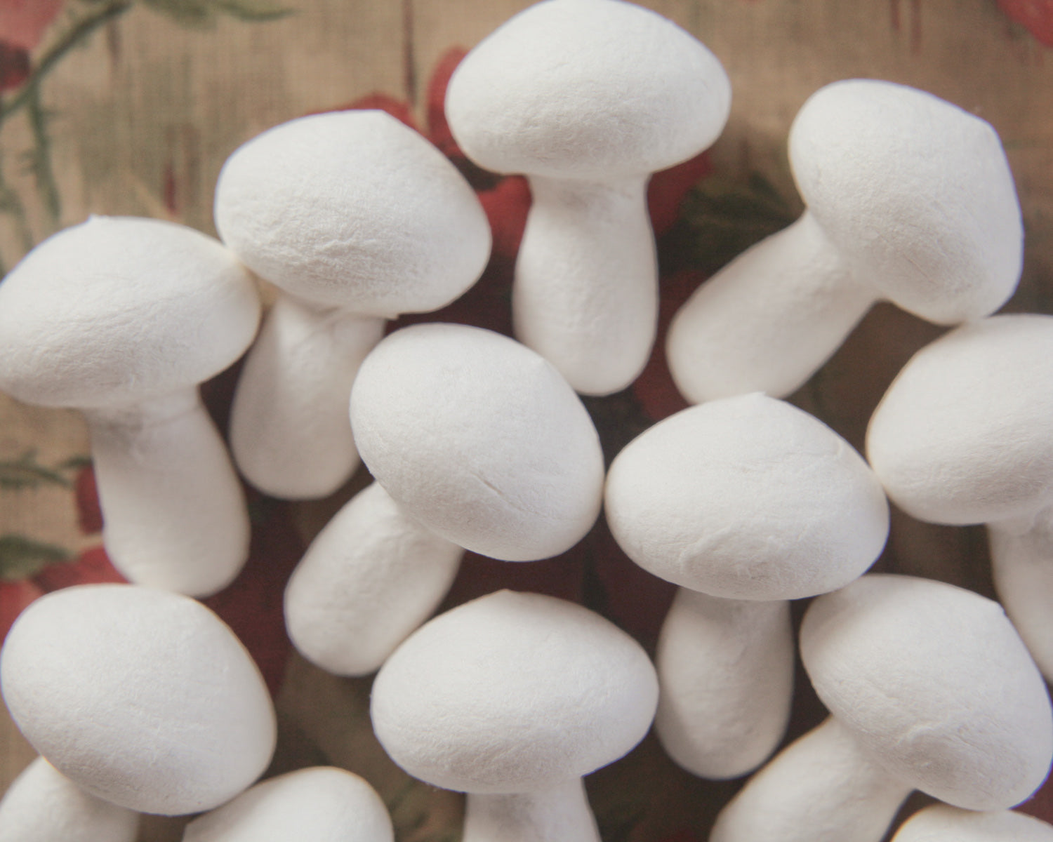 mushroom craft