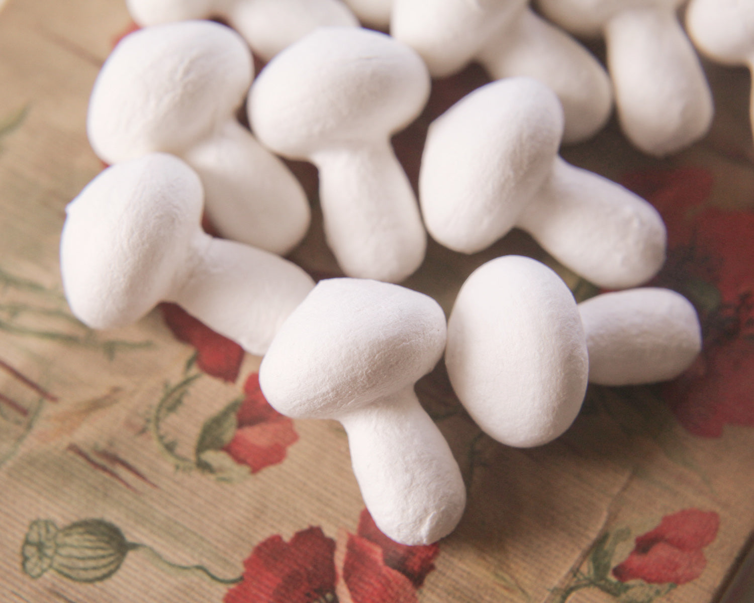 craft mushrooms