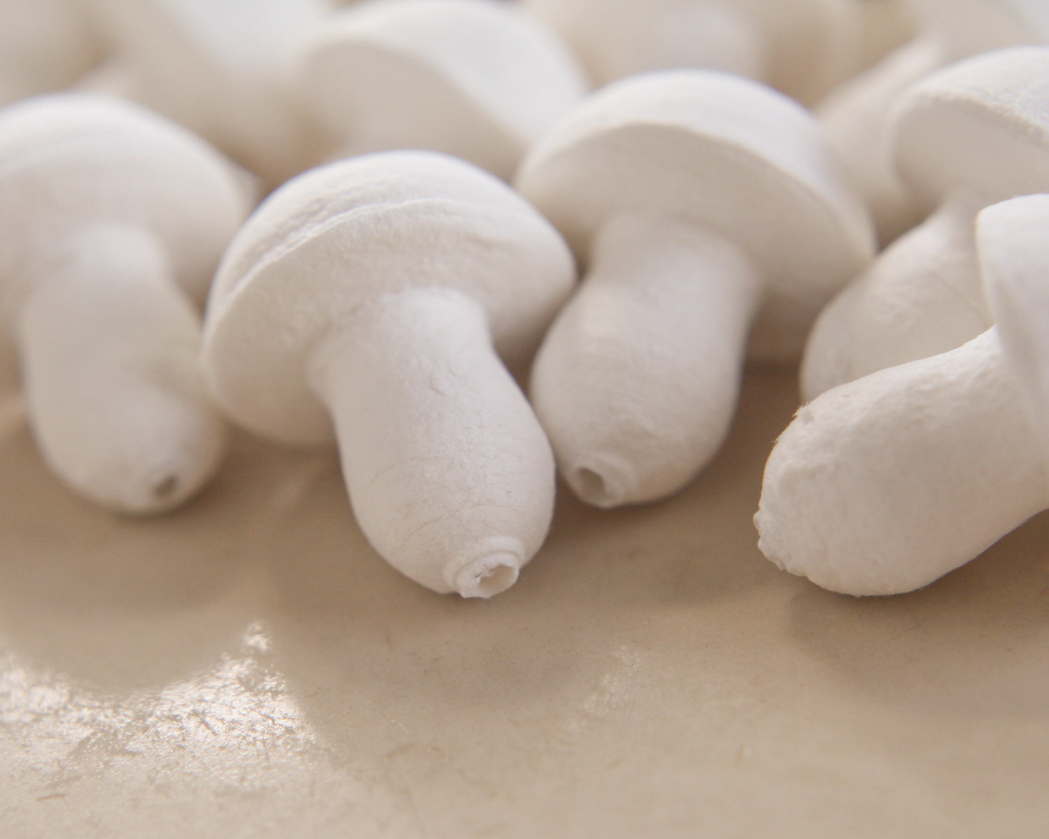 craft mushrooms