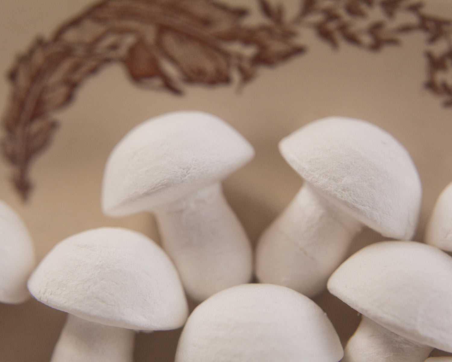 vintage mushrooms
