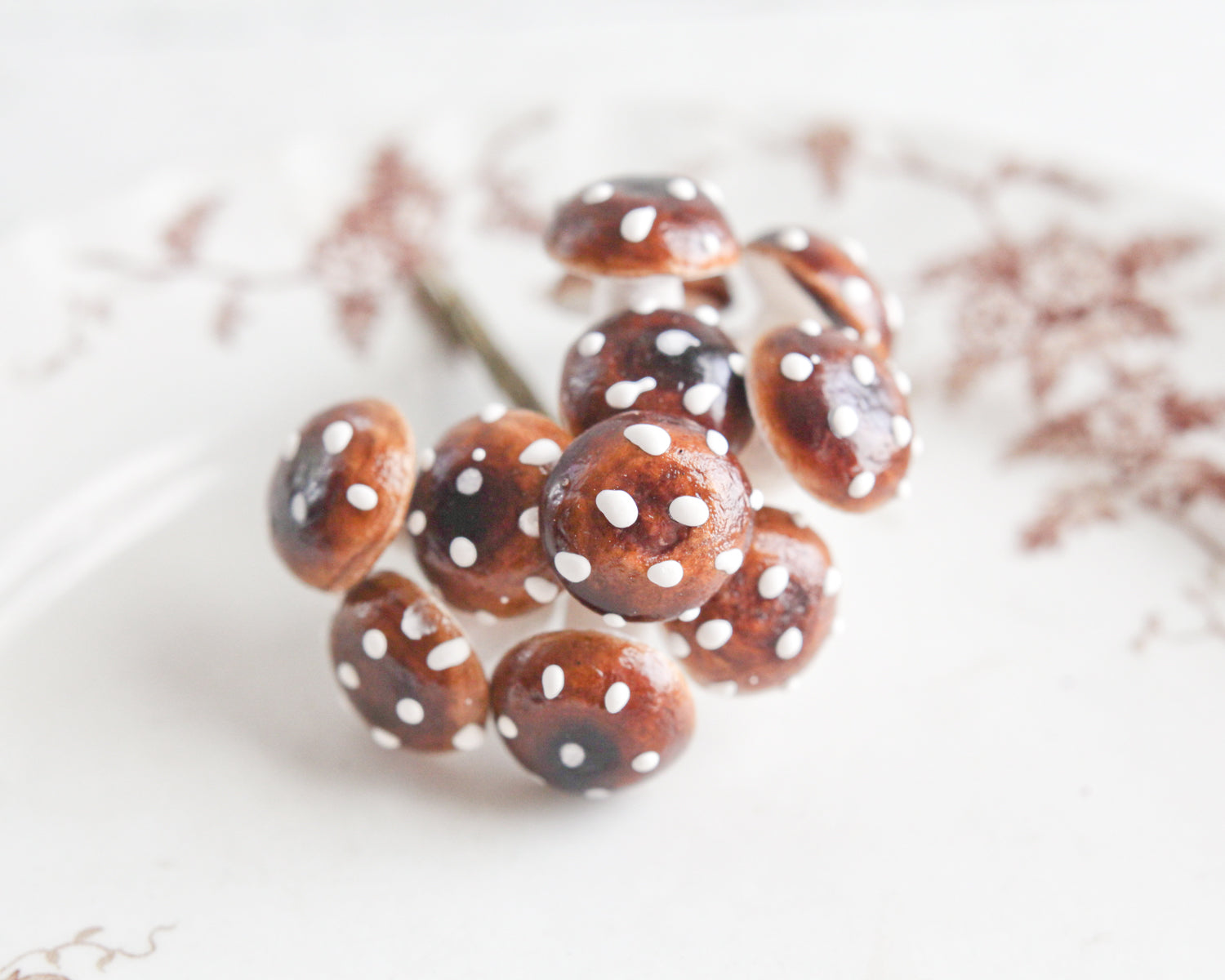 cotton mushrooms