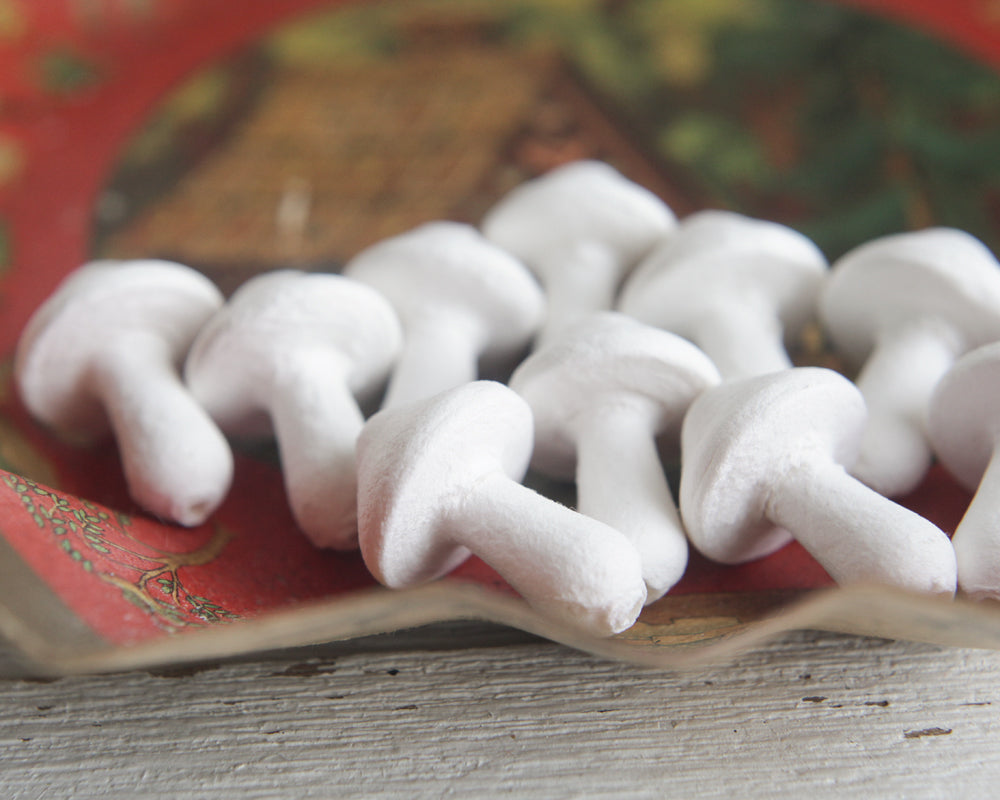 cotton mushrooms