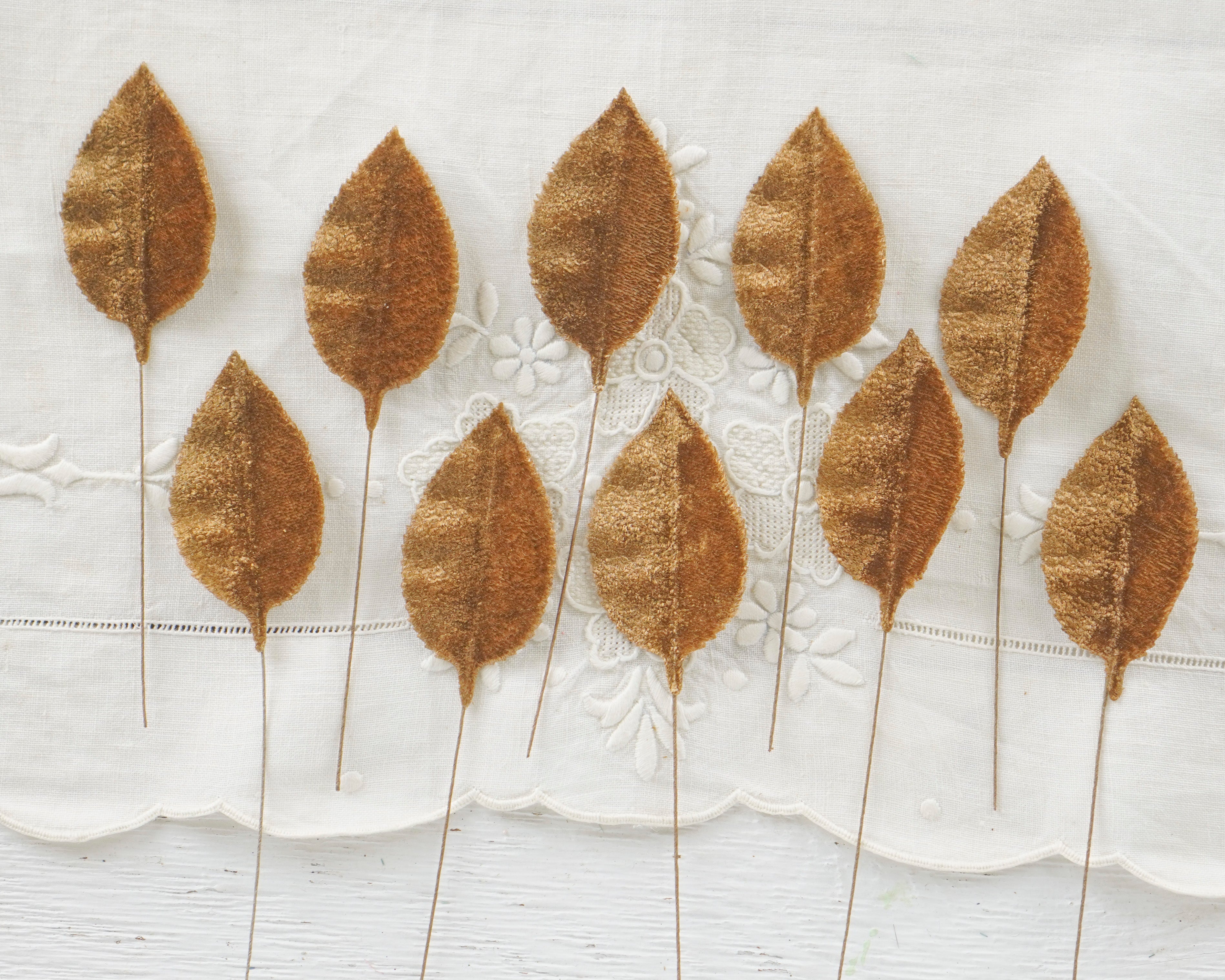 Cinnamon Velvet Leaves, Large, 10 Pcs.