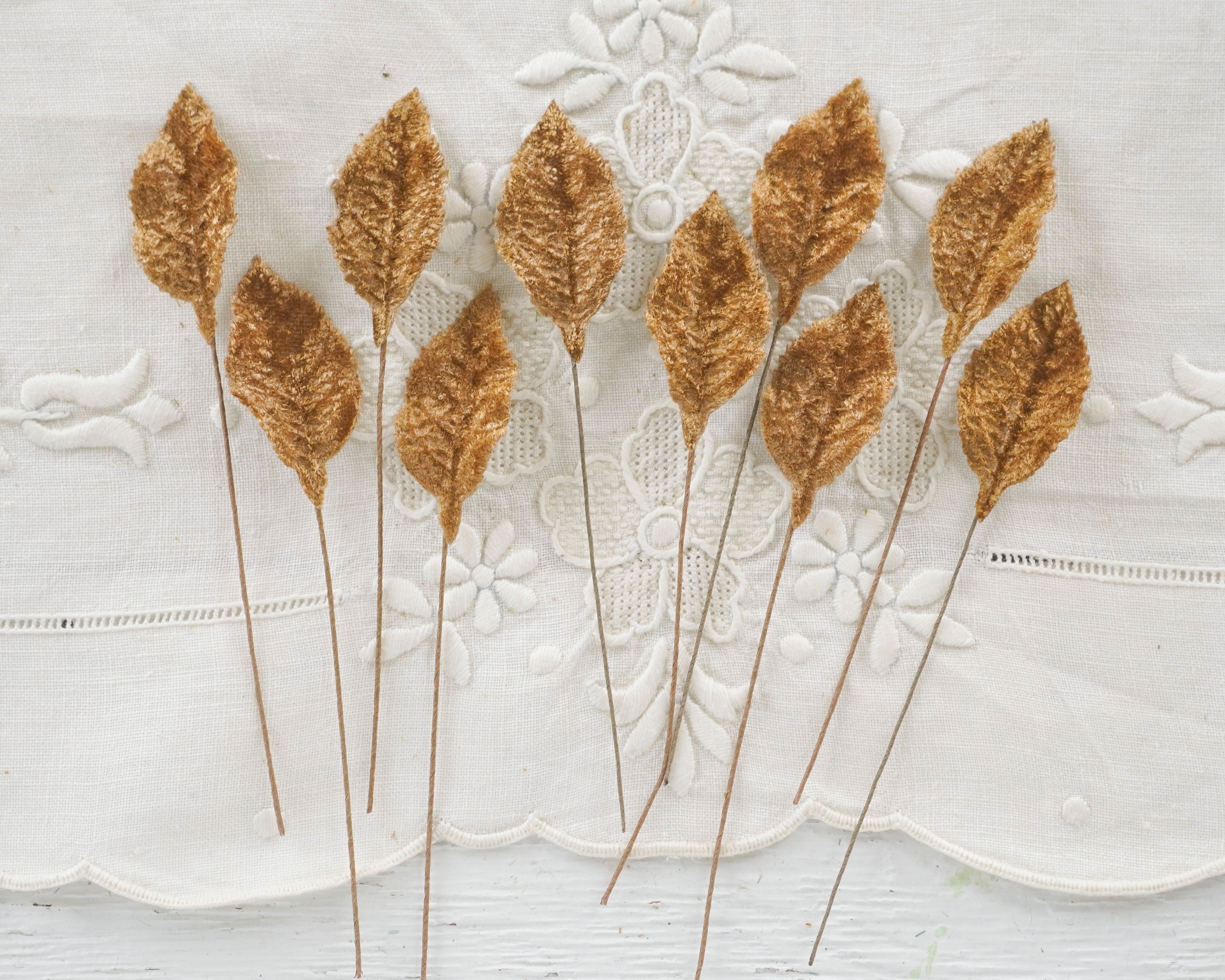 Cinnamon Velvet Leaves, Small, 10 Pcs.
