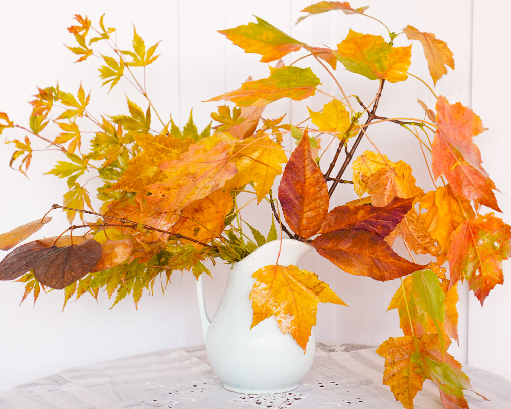 How to Preserve Fall Leaves with Glycerin