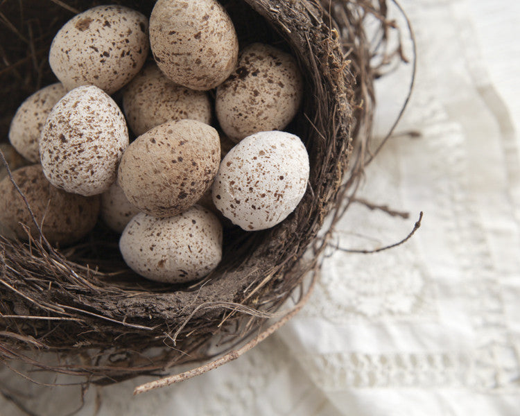 Tutorial: Spun Cotton Quail Eggs