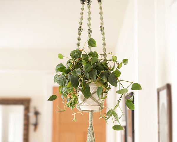 Macrame Plant Hanger - Craft Tutorial with Easy Macrame Knots