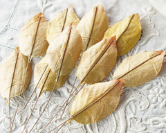 Velvet Leaves - Variegated Golden Autumn Craft Leaf Stems, 10 Pcs.