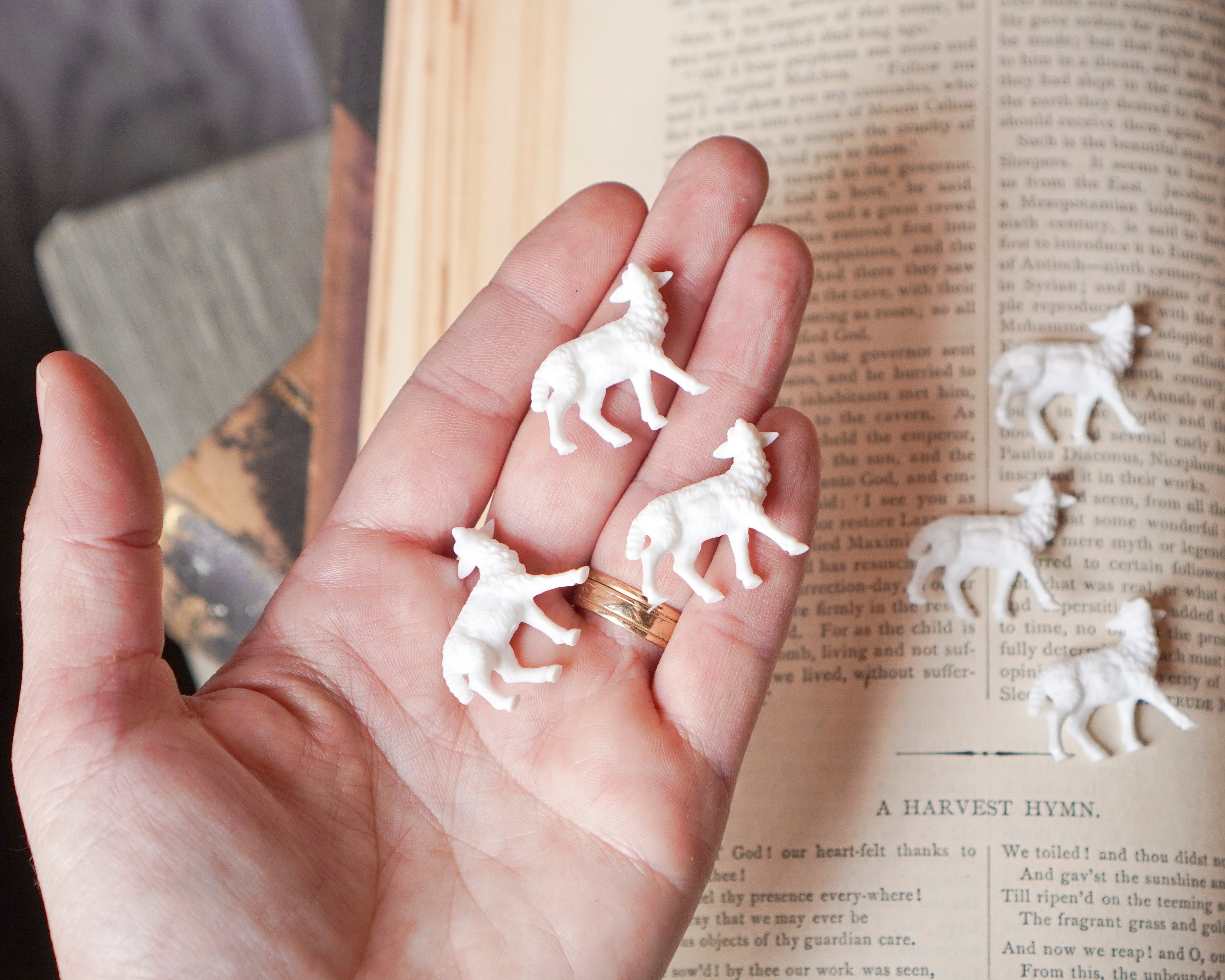 A hand holding several small white lamb figurines, with more figurines scattered on an open book in the background.