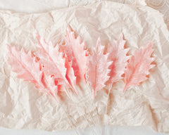Pink Velvet Holly Leaves, 10 Pcs.