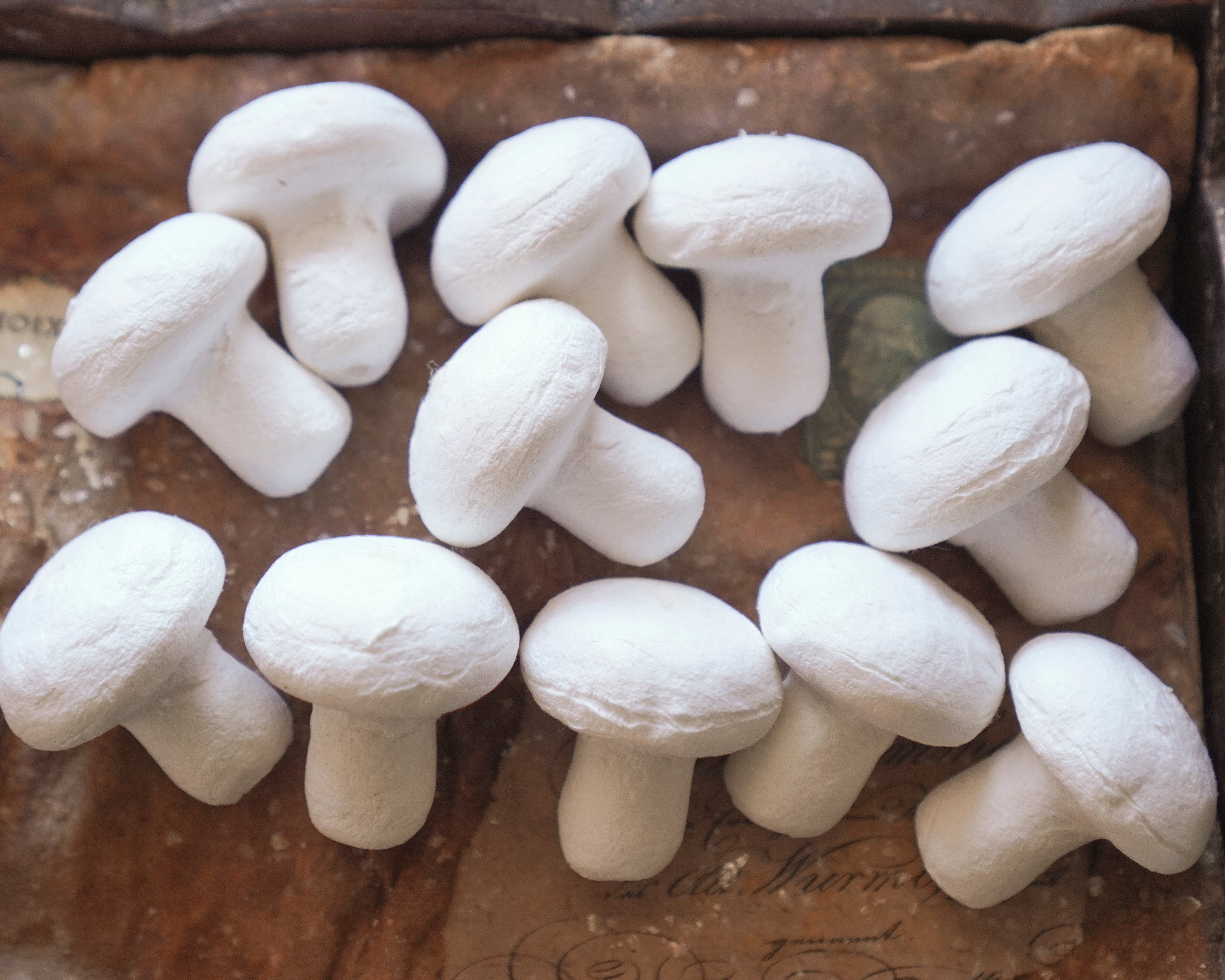 White mushroom-shaped craft forms on a textured surface