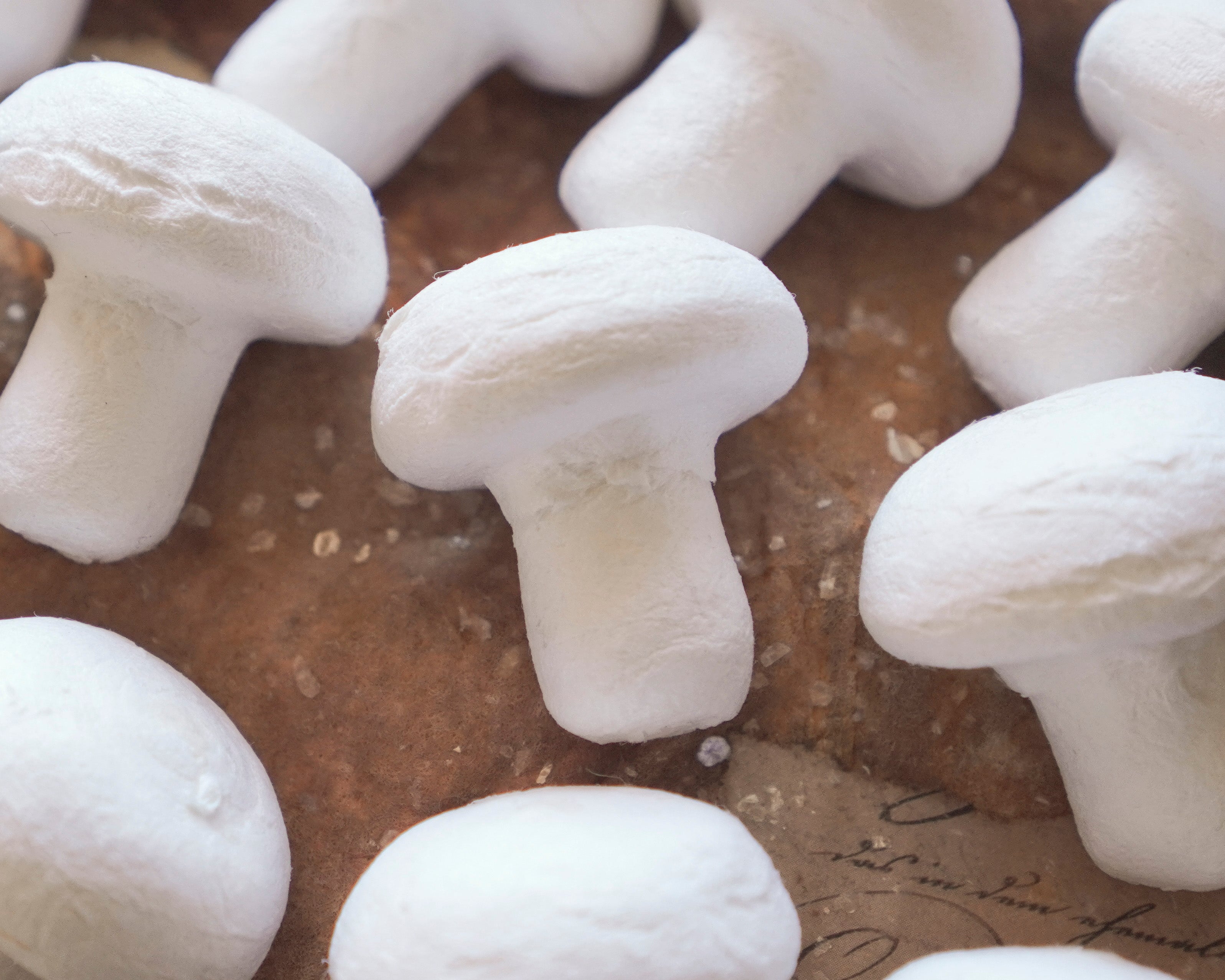 Rustic Field Toadstools: 30x32mm Unfinished Craft Mushrooms, 12 Pcs.