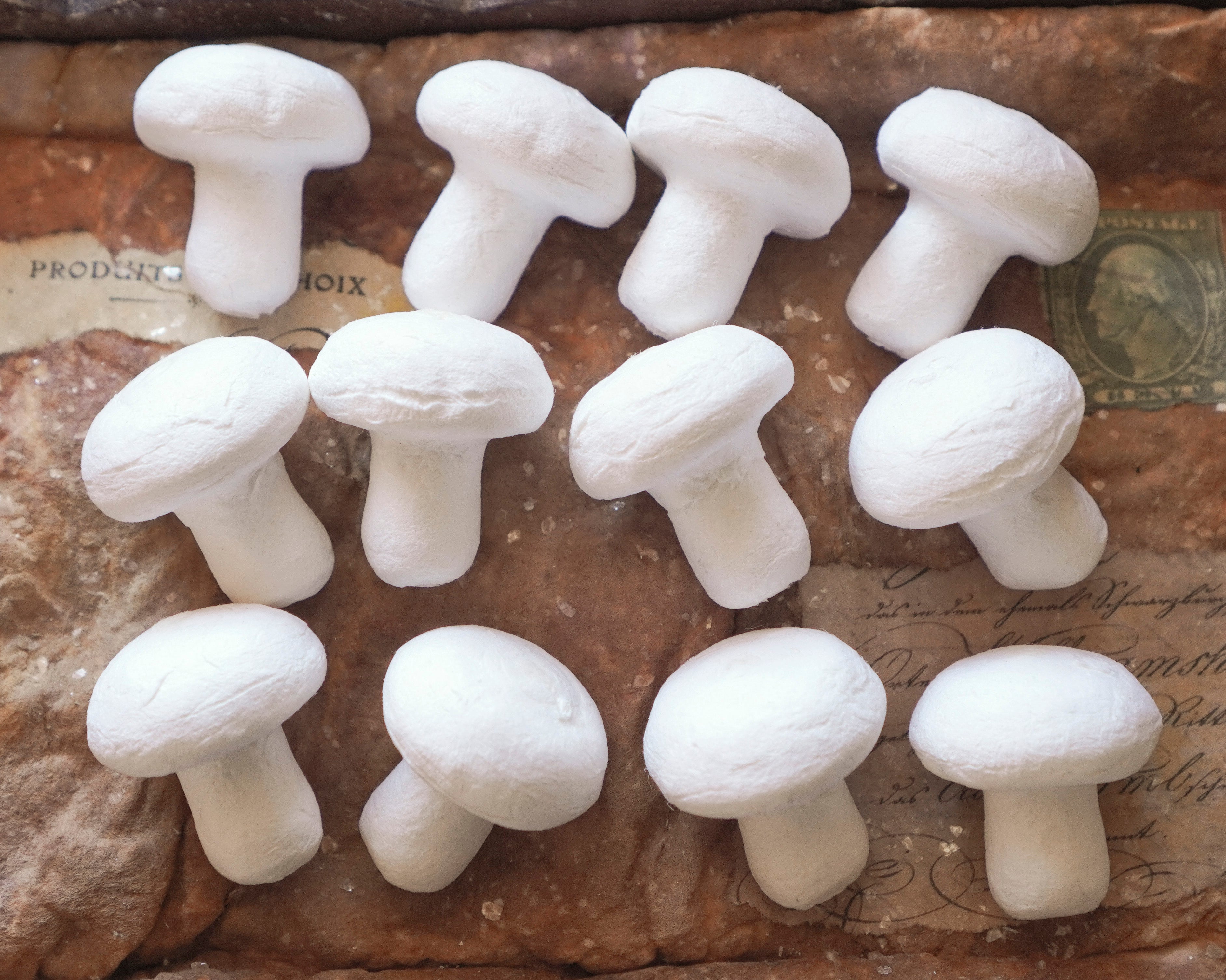 Rustic Field Toadstools: 30x32mm Unfinished Craft Mushrooms, 12 Pcs.