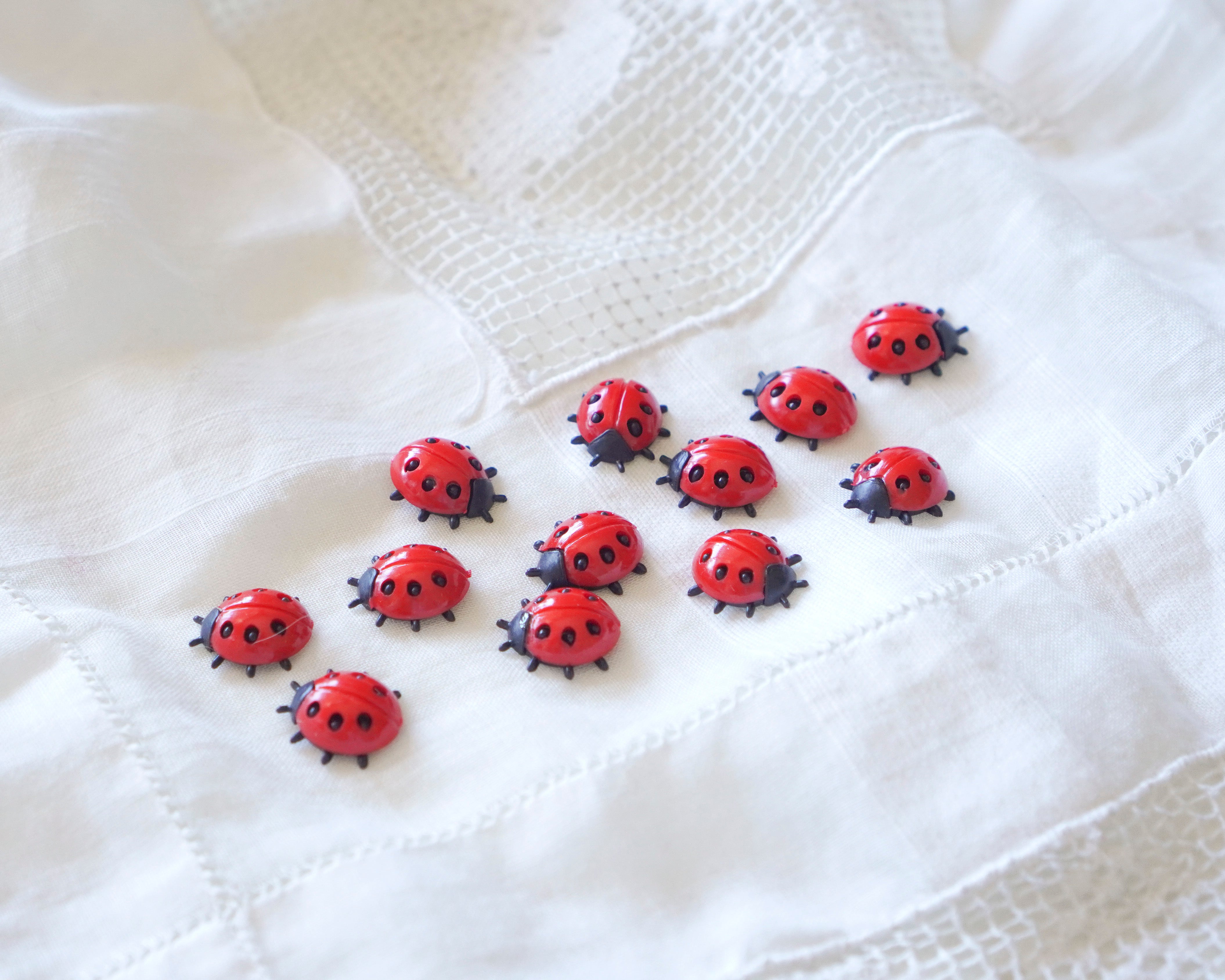 Small German Plastic Ladybugs for Crafts, 12 Pcs.
