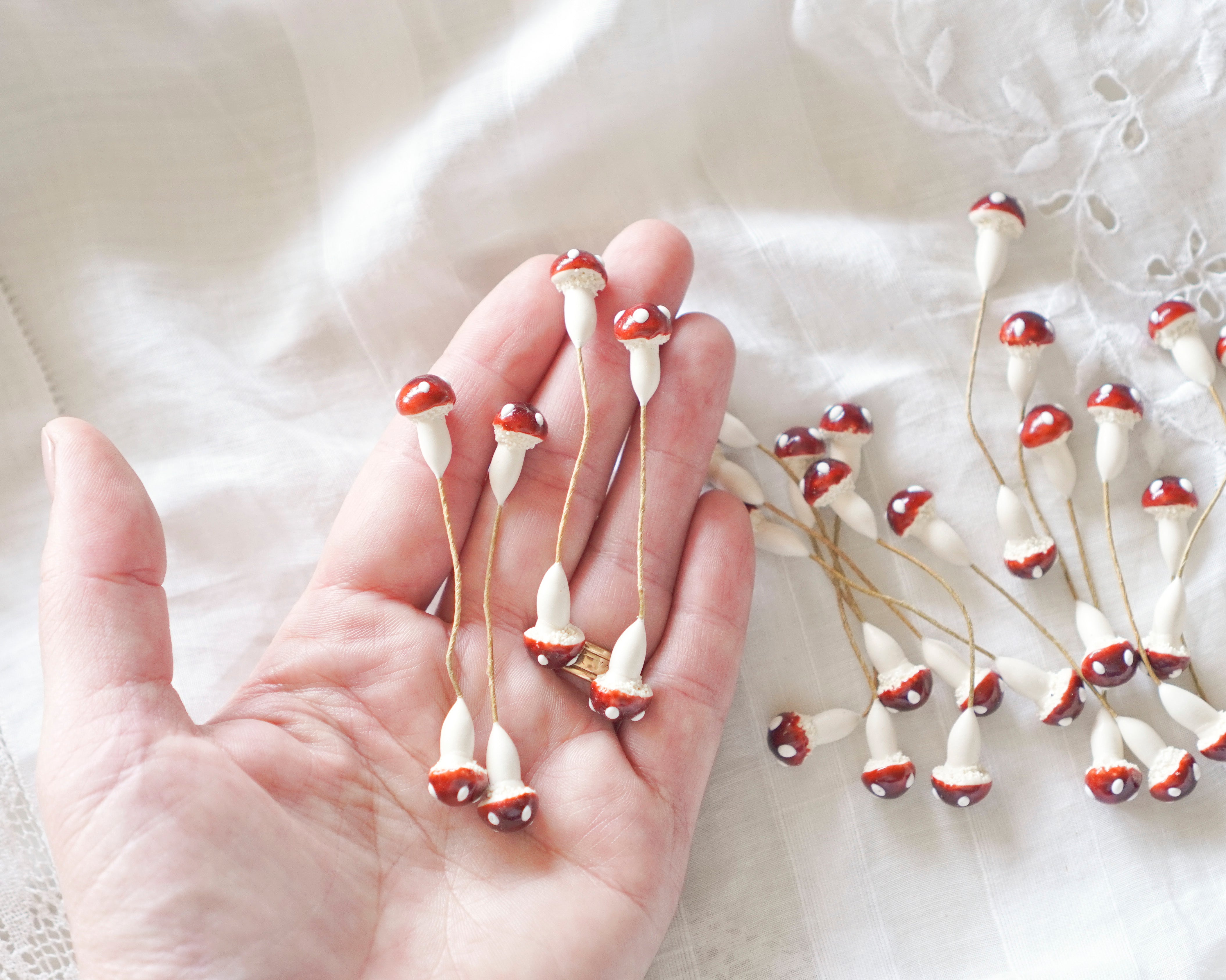 Hand holding small mushroom stems with a white fabric background