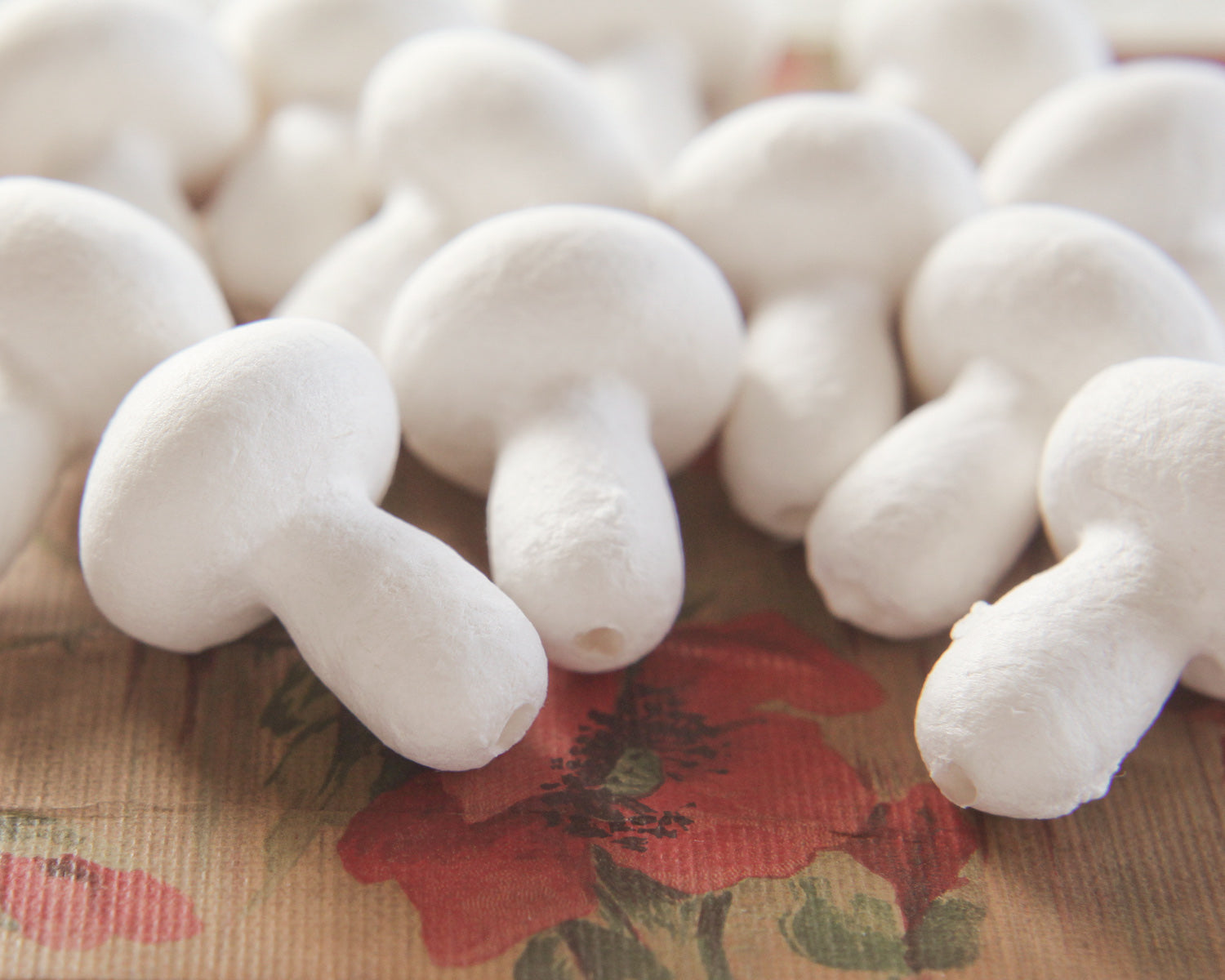 cotton mushroom