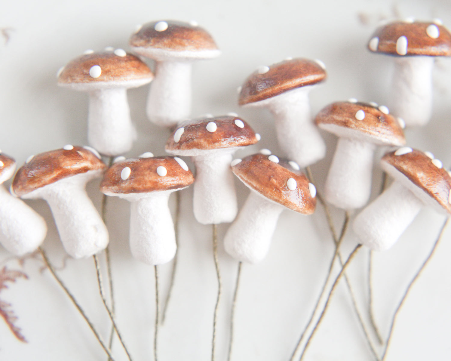 vintage mushrooms