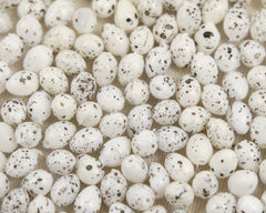 Miniature Plastic Eggs - One Gross, 144 Pcs