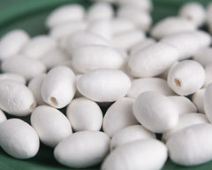 Spun Cotton Buds - Small Olive / Rosebud Craft Shapes, 8 Pcs.