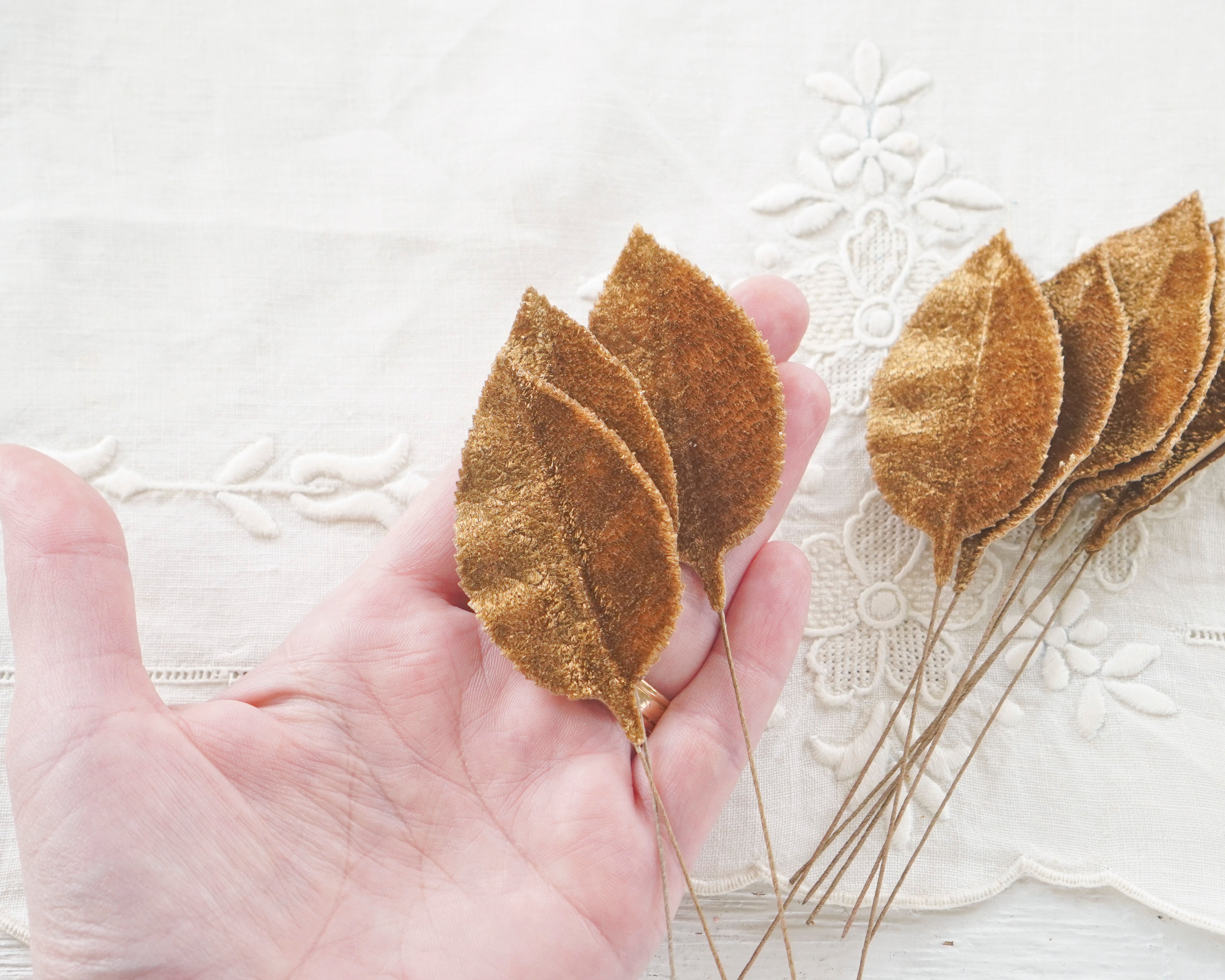 Cinnamon Velvet Leaves, Large, 10 Pcs.
