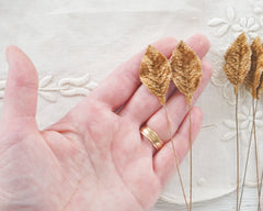 Cinnamon Velvet Leaves, Small, 10 Pcs.