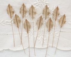 Cinnamon Velvet Leaves, Small, 10 Pcs.