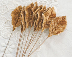 Cinnamon Velvet Leaves, Small, 10 Pcs.