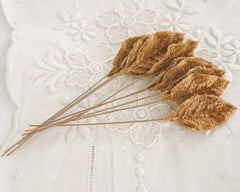 Cinnamon Velvet Leaves, Small, 10 Pcs.